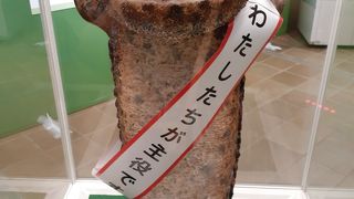 イベント展示がユニーク、常設展示には恐竜だらけで楽しい♪