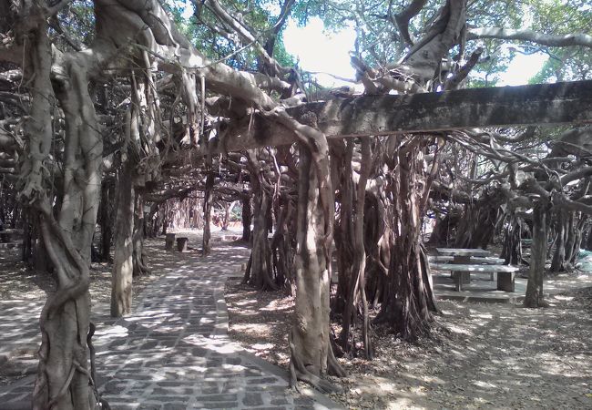 サイ ンガーム公園