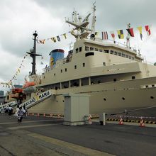 晴海埠頭(JAMSTEC 白鳳丸)