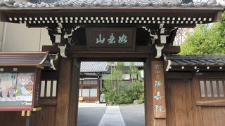 本堂前の木が珍しいです