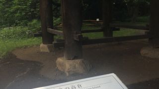 江戸東京ではない展示物