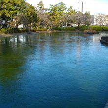 ちょっと分かりにくいですが少し氷っていました。。