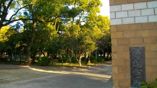 色々あって楽しい