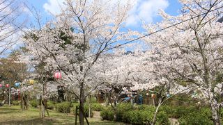 諏訪公園 (三好市)