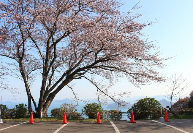 紫雲出山桜まつり