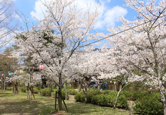 諏訪公園 (三好市)