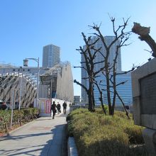 勝鬨橋の南西詰手前からの様子(勝鬨橋は工事中)