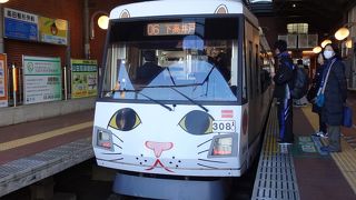 世田谷の町をのんびり走る （東急世田谷線）