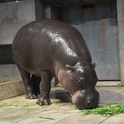 万博公園にあります