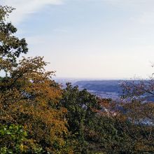 市街地を望む