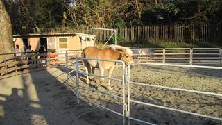 明治神宮西門の手前にあります。