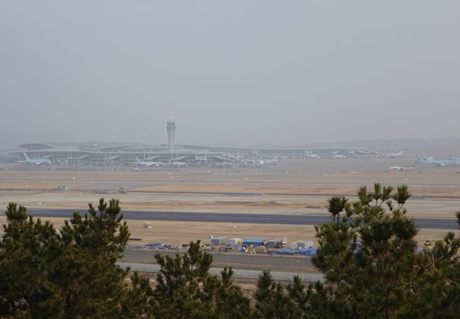 仁川空港を発着する飛行機が良く見えます