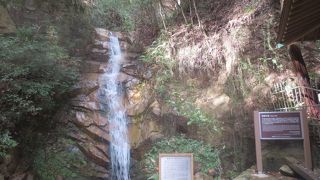 六甲山登山の拠点に便利