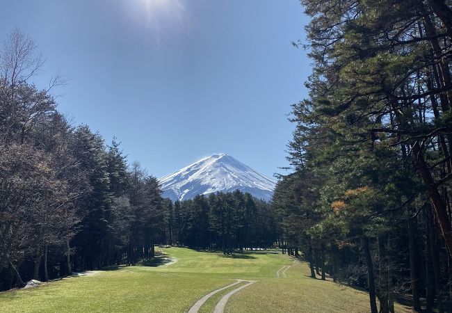 富士山に向かって打てる