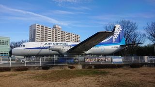 実物飛行機が見れます。