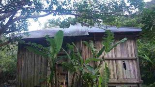 現地まで行く意味は無いように思える。