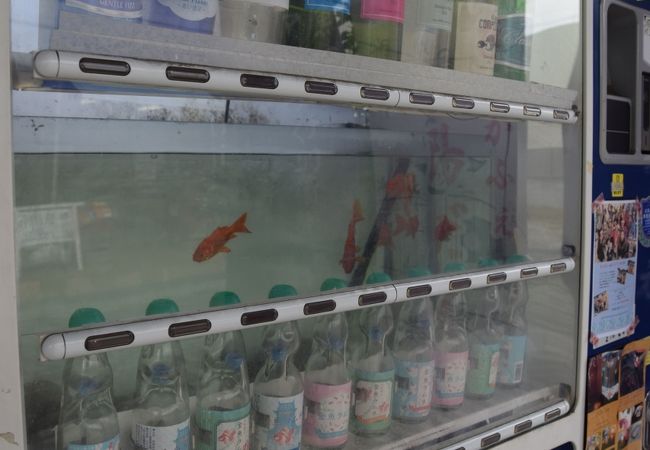 金魚の自販機