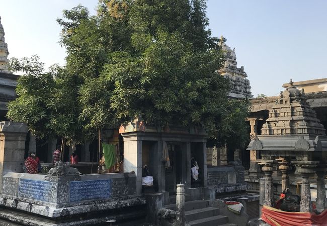 エーカンバラナータル寺院
