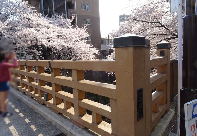 板橋 橋 クチコミ アクセス 営業時間 板橋 フォートラベル