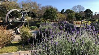 生蜂蜜の販売もある王立植物園