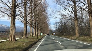 冬でも素敵でした