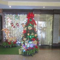 グレースランド バンコク バイ グレース ホテル