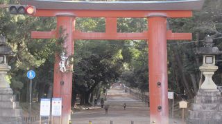 本殿までは歩きます