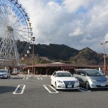 観覧車も見られる
