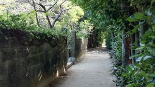 のんびりと散歩