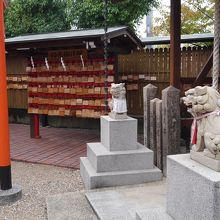 こまいぬです。