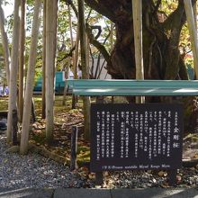 説明パネルです。