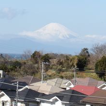 桜並木が終わる橋の脇から見える富士山