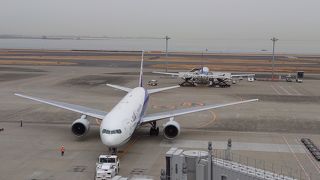 レギュラーシーズンの土曜日はちょびっと混雑気味