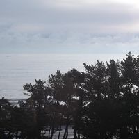 部屋からの眺め