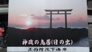 海の岩の上に佇む荘厳な鳥居