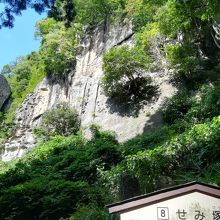 せみ塚　まさに蝉の声が良く聞こえました。