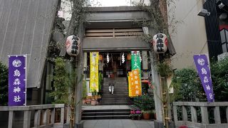 烏が群がっていたから