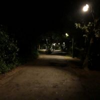 コテージまでの道は暗いです