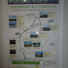 北斗市も頑張ってるんですね！