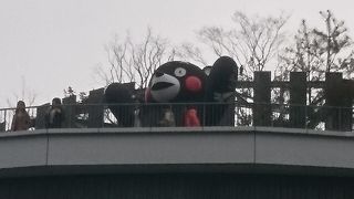 サクラマチクマモト♪