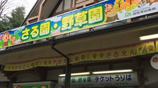 ＝高尾山 さる園＝ 猿が見たいなら