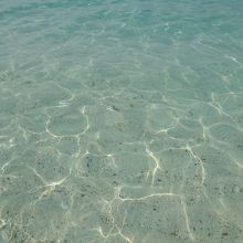 水面はこのような感じ