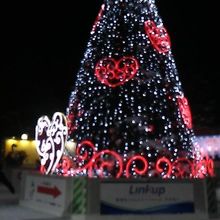 1丁目のツリー電飾はホワイトイルミネーションからの継続