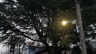 映画の舞台にもなった