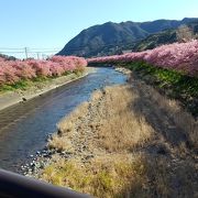 駐車場はどこも1日700円でした。