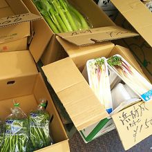 八百屋さんでもあります！