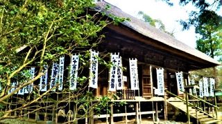 御本尊の十一面杉本観音