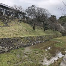 お堀かつては杉、いまは桜並木が続きます。