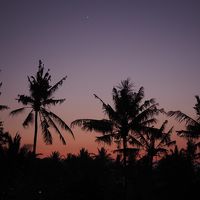 夕暮れ時はこんなシルエットも見られます