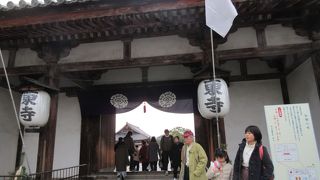 「東寺」の提灯がくっきり